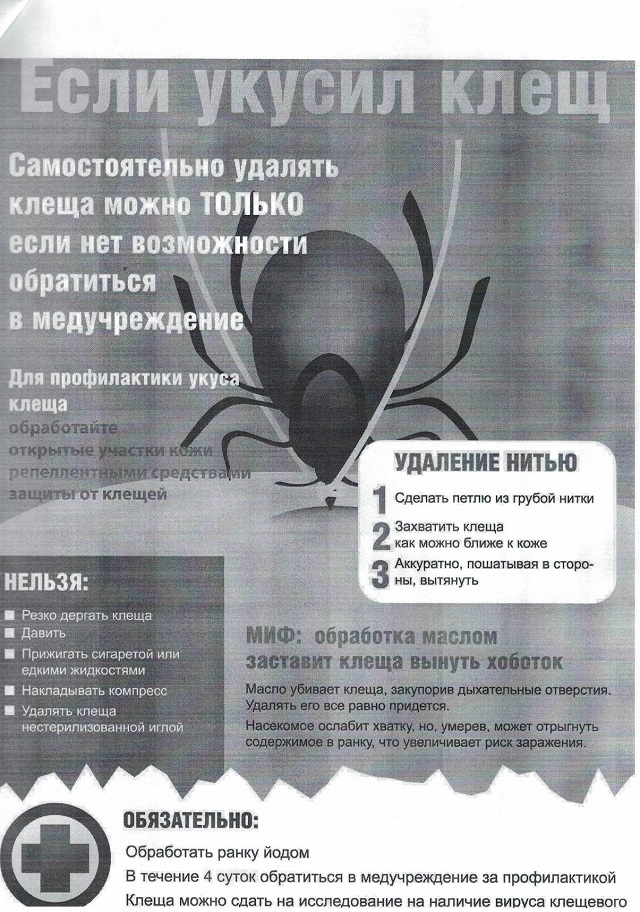 CCF30032018 1